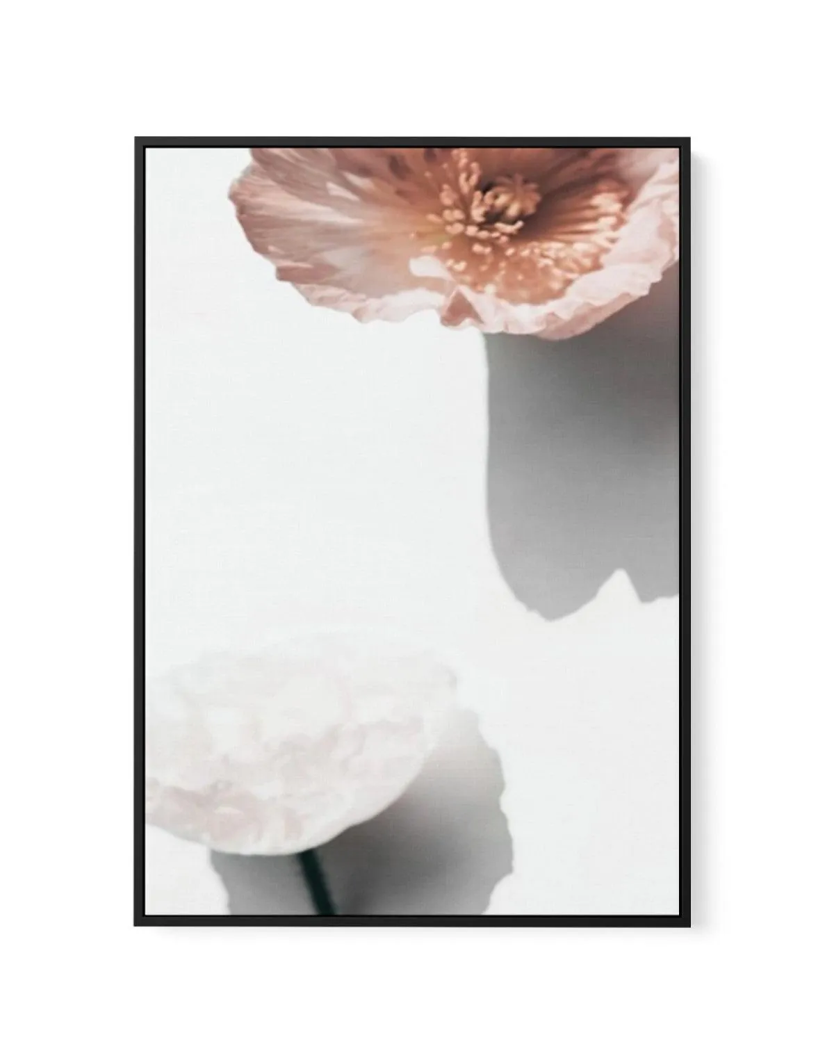 Abstract Poppies IV | Framed Canvas