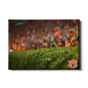 Auburn Tigers - The Hedges