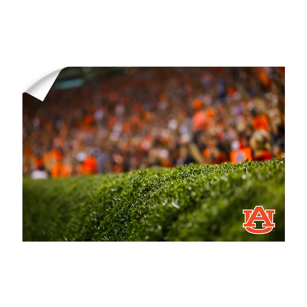 Auburn Tigers - The Hedges