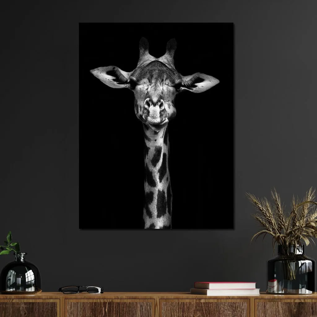 Black and White Giraffe