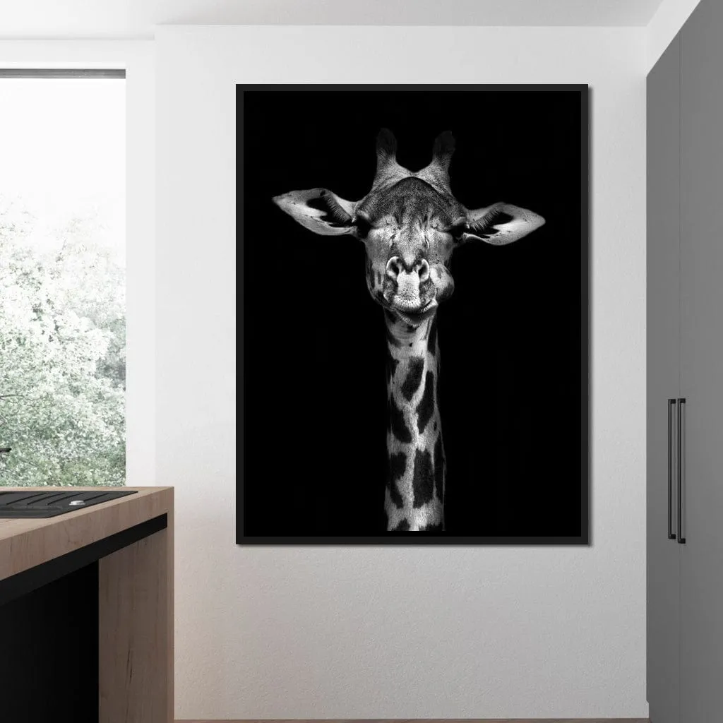 Black and White Giraffe