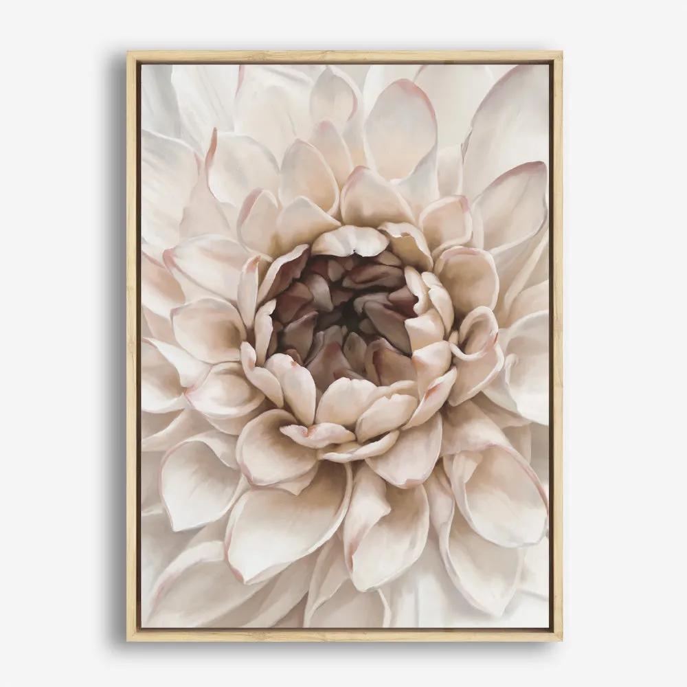 Divine Dahlia IV Canvas Print