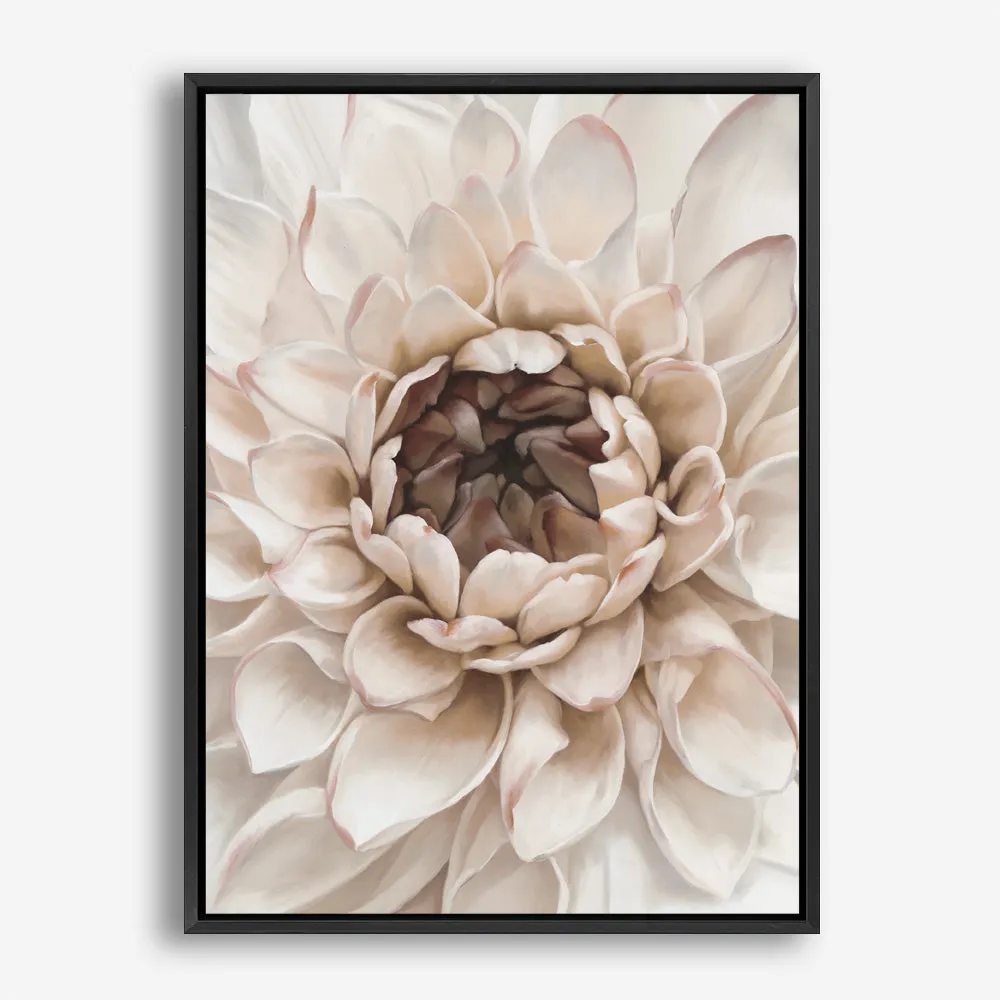 Divine Dahlia IV Canvas Print