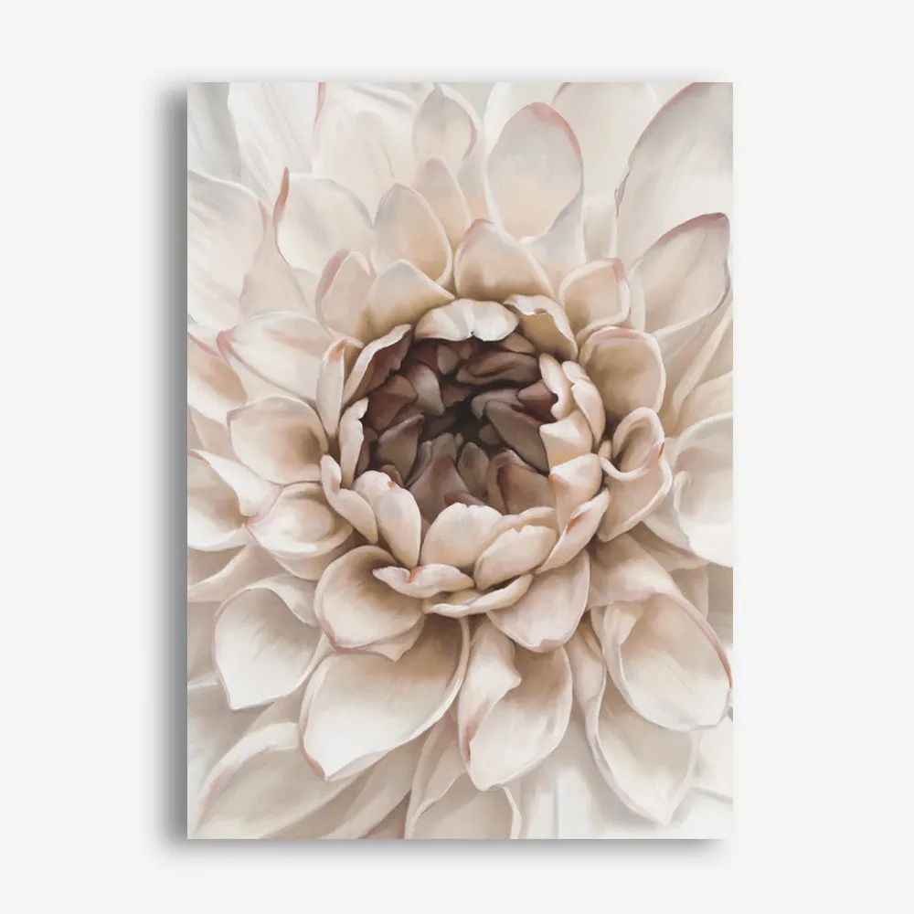 Divine Dahlia IV Canvas Print