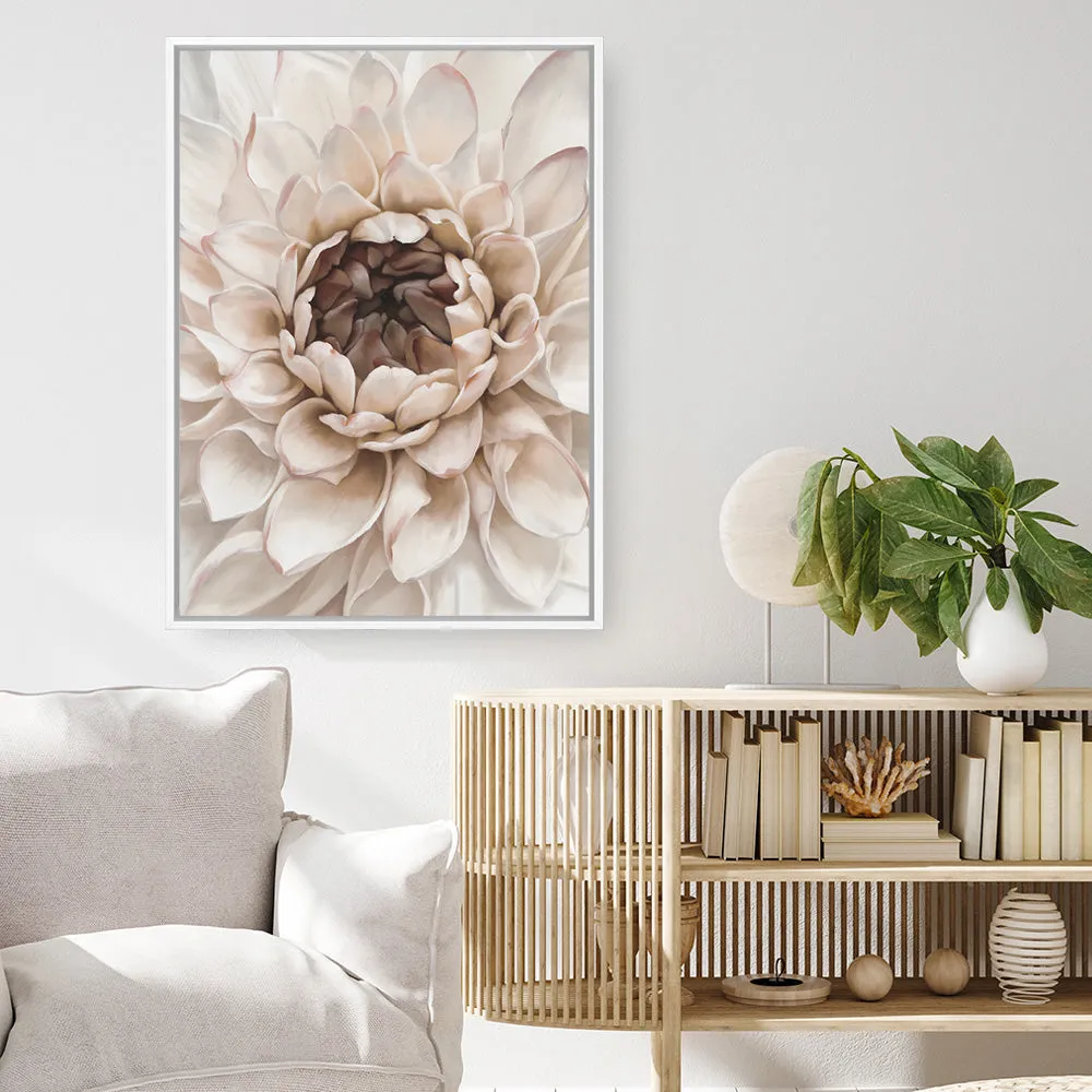 Divine Dahlia IV Canvas Print