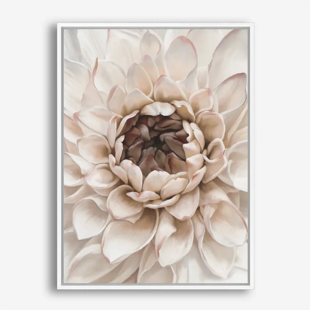 Divine Dahlia IV Canvas Print