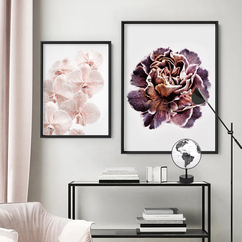 Floral Pose, Close up detail of Flower - Art Print