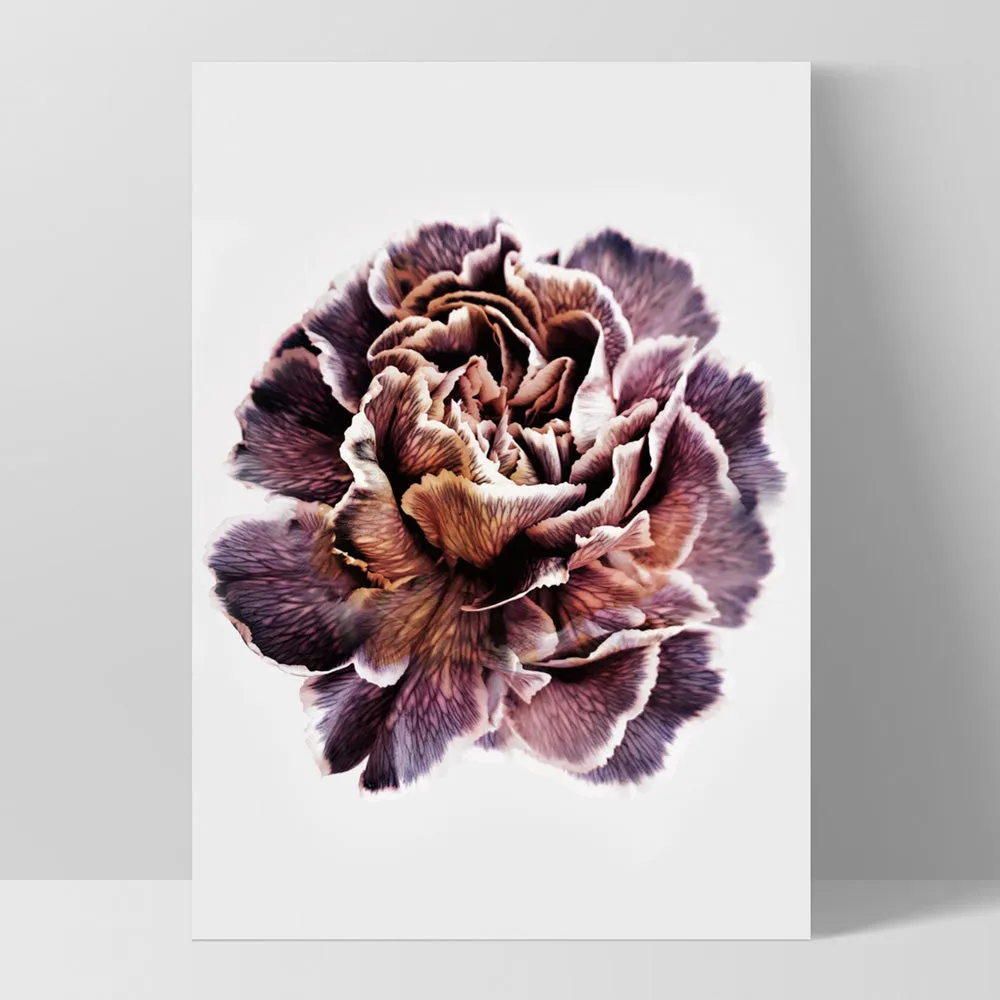 Floral Pose, Close up detail of Flower - Art Print