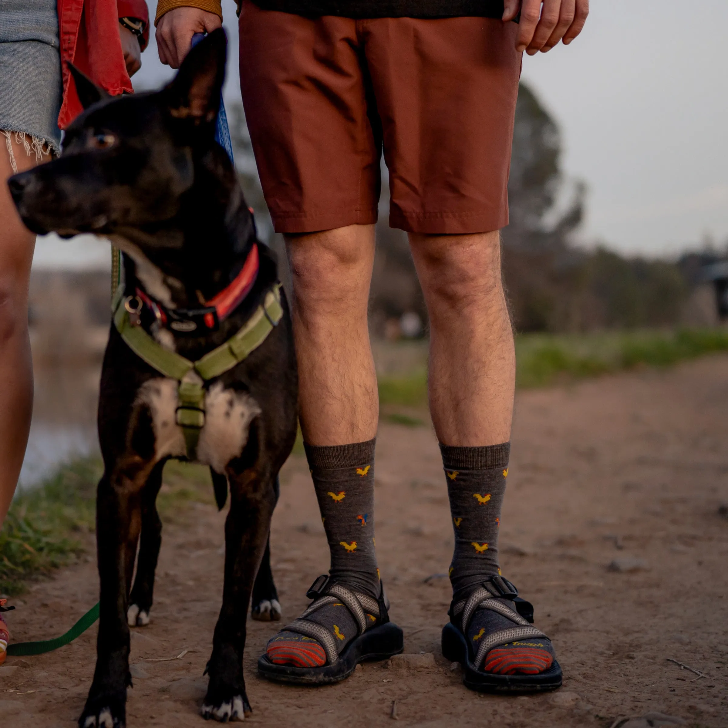 Men's Strut Crew  Lightweight Lifestyle Sock